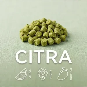 Citra® Hopfen T-90 50g