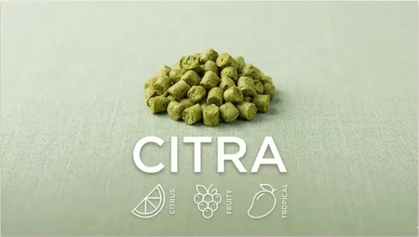 Citra® Hopfen T-90 50g