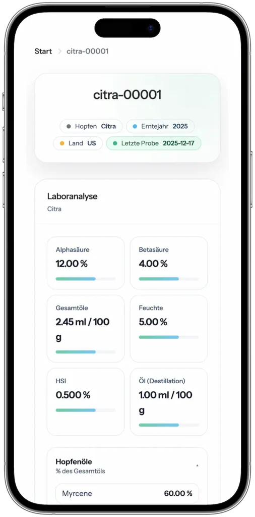 Phone Mockup Lot Hopfendaten Citra